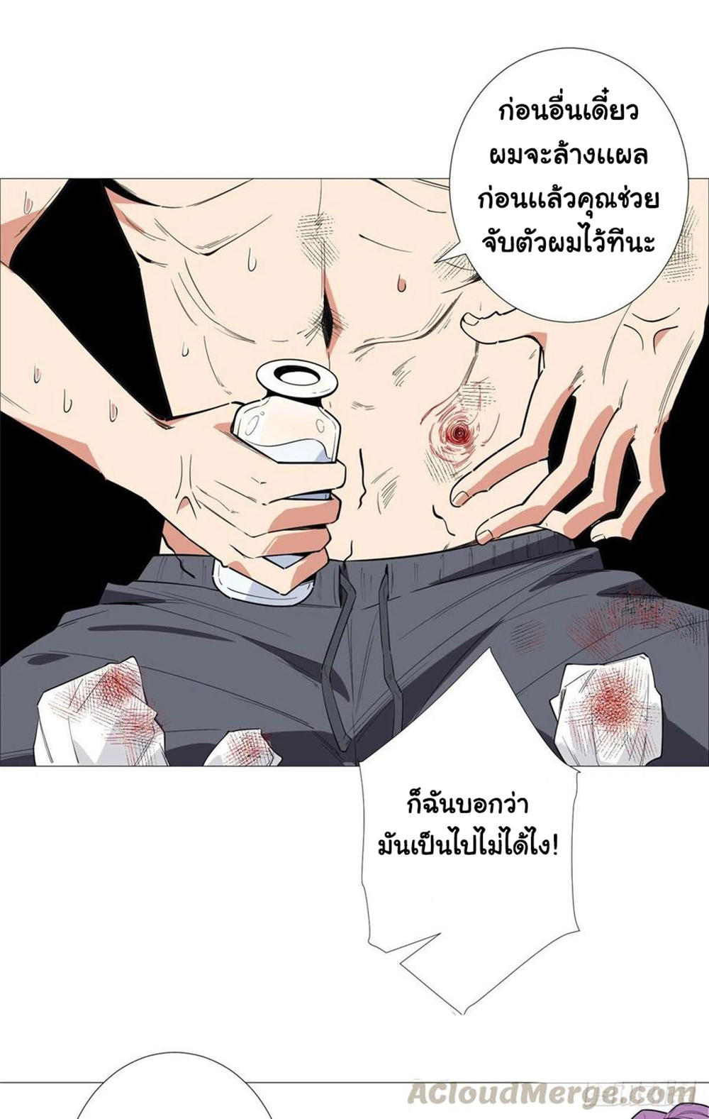 SAMC16 (9)