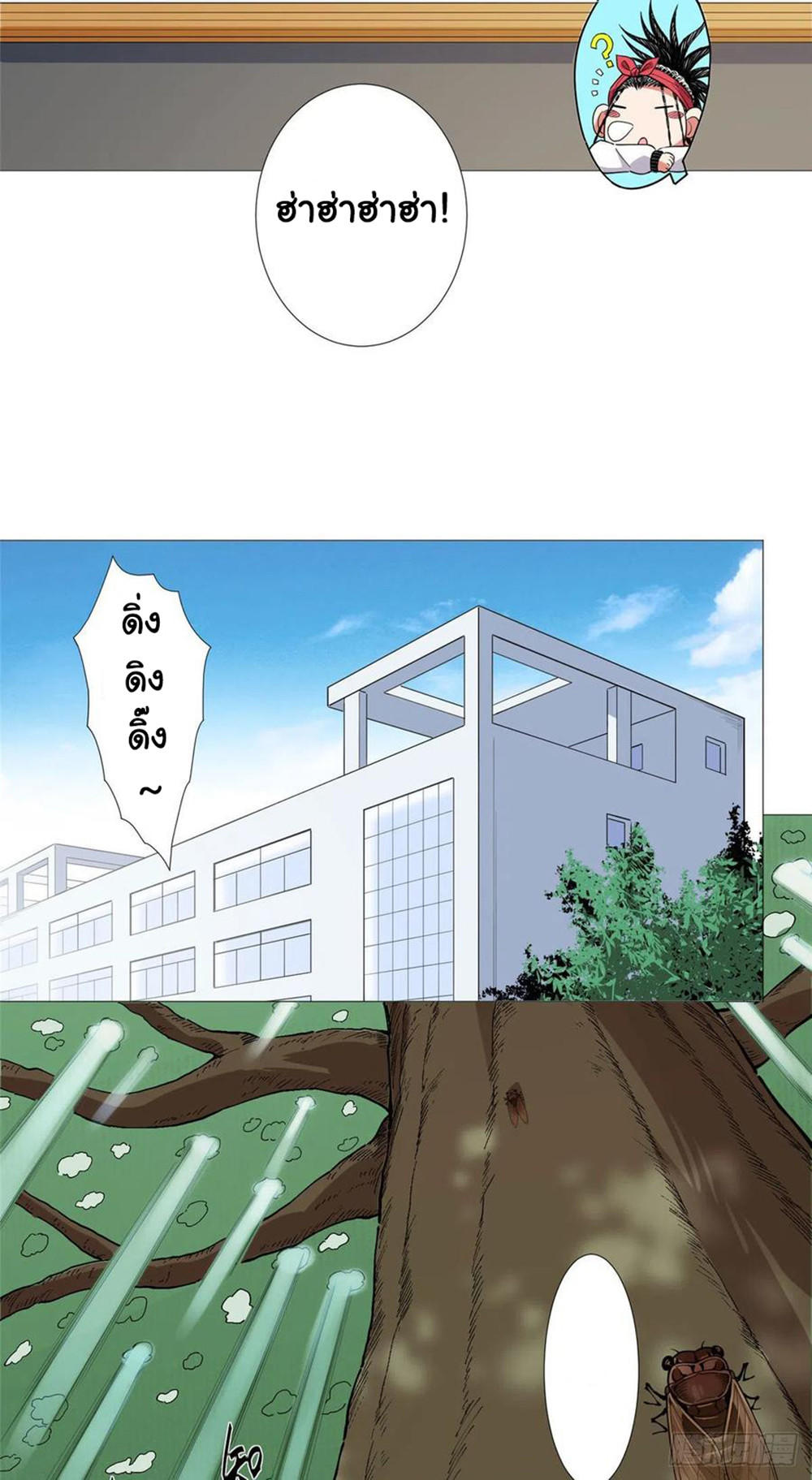 SAMC19 (19)