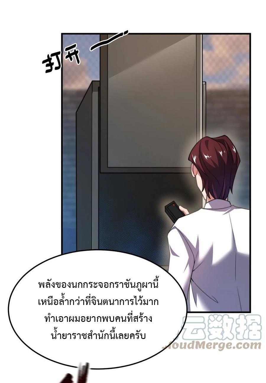 MPE93-13.jpg