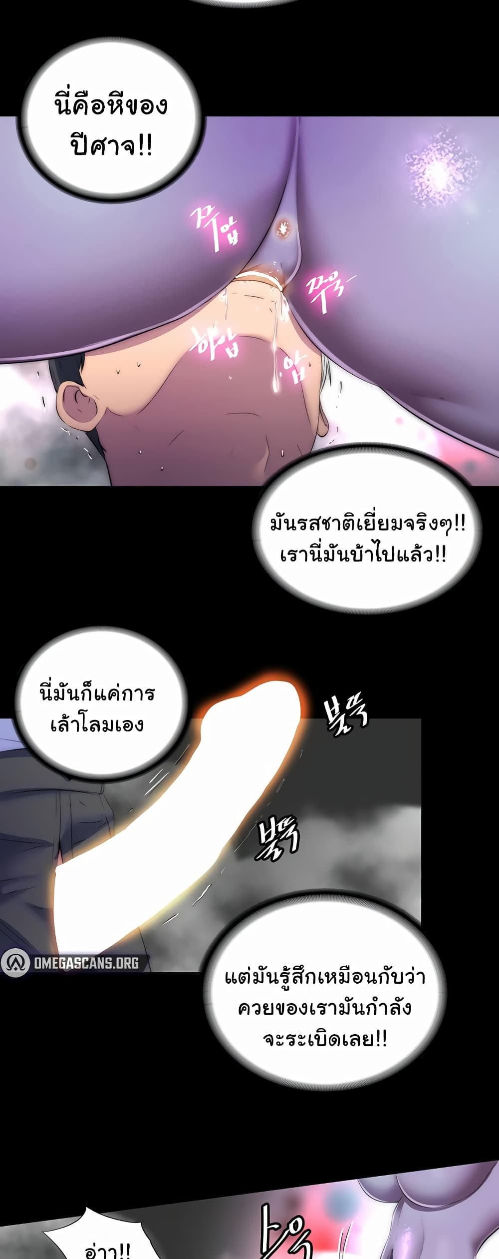 226dbbac56966f25e6.jpg