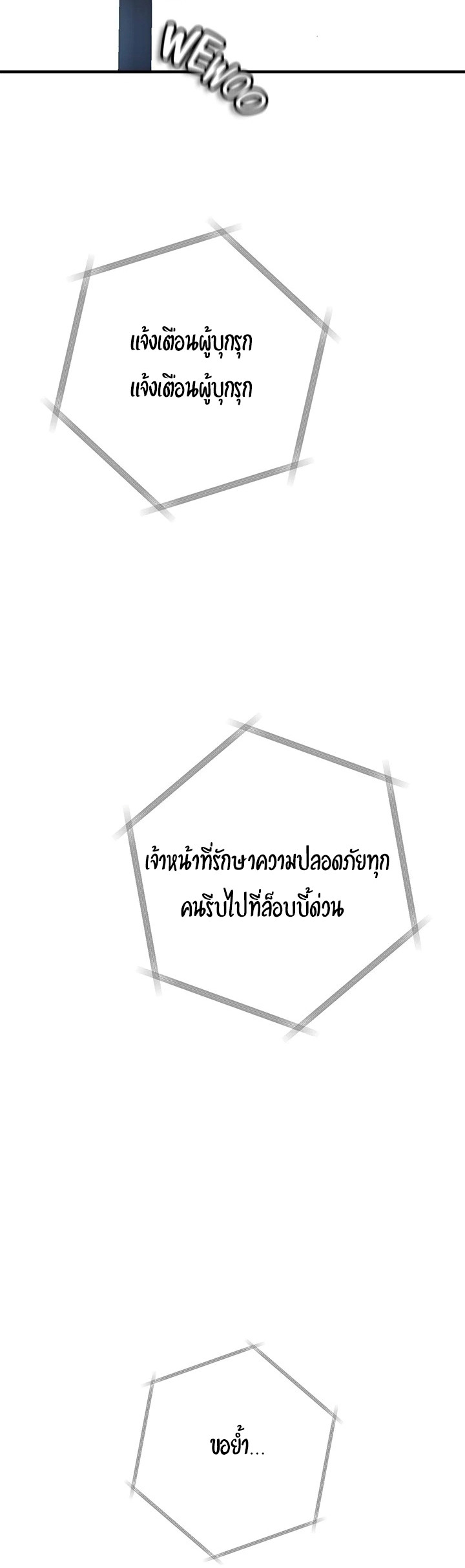 07a66b6173c3ef0154.jpg